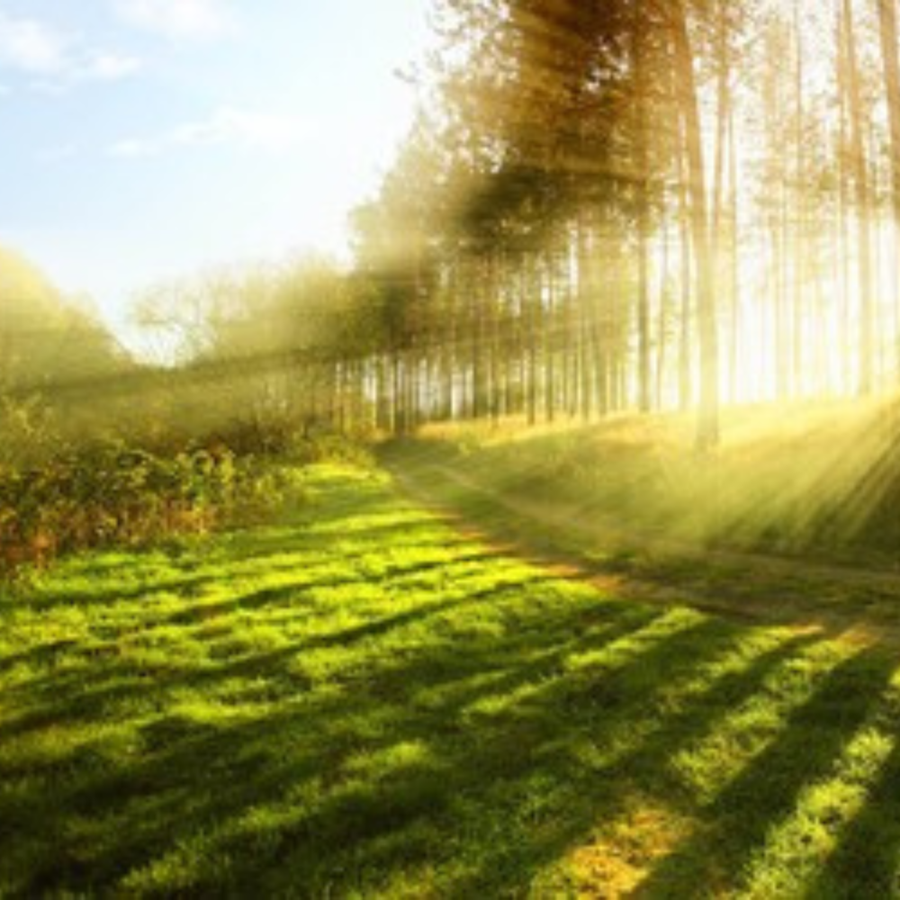 pleine nature